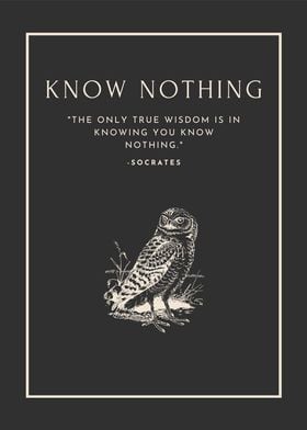 Wise Socrates Quote